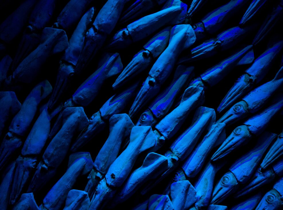 A host of blue squid