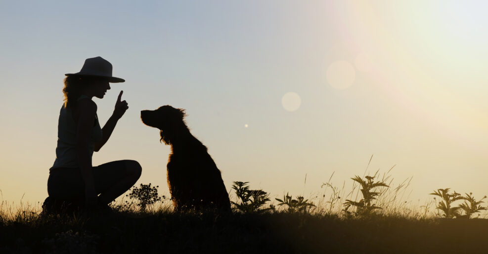 Silhouette of a female as training her dog - website banner