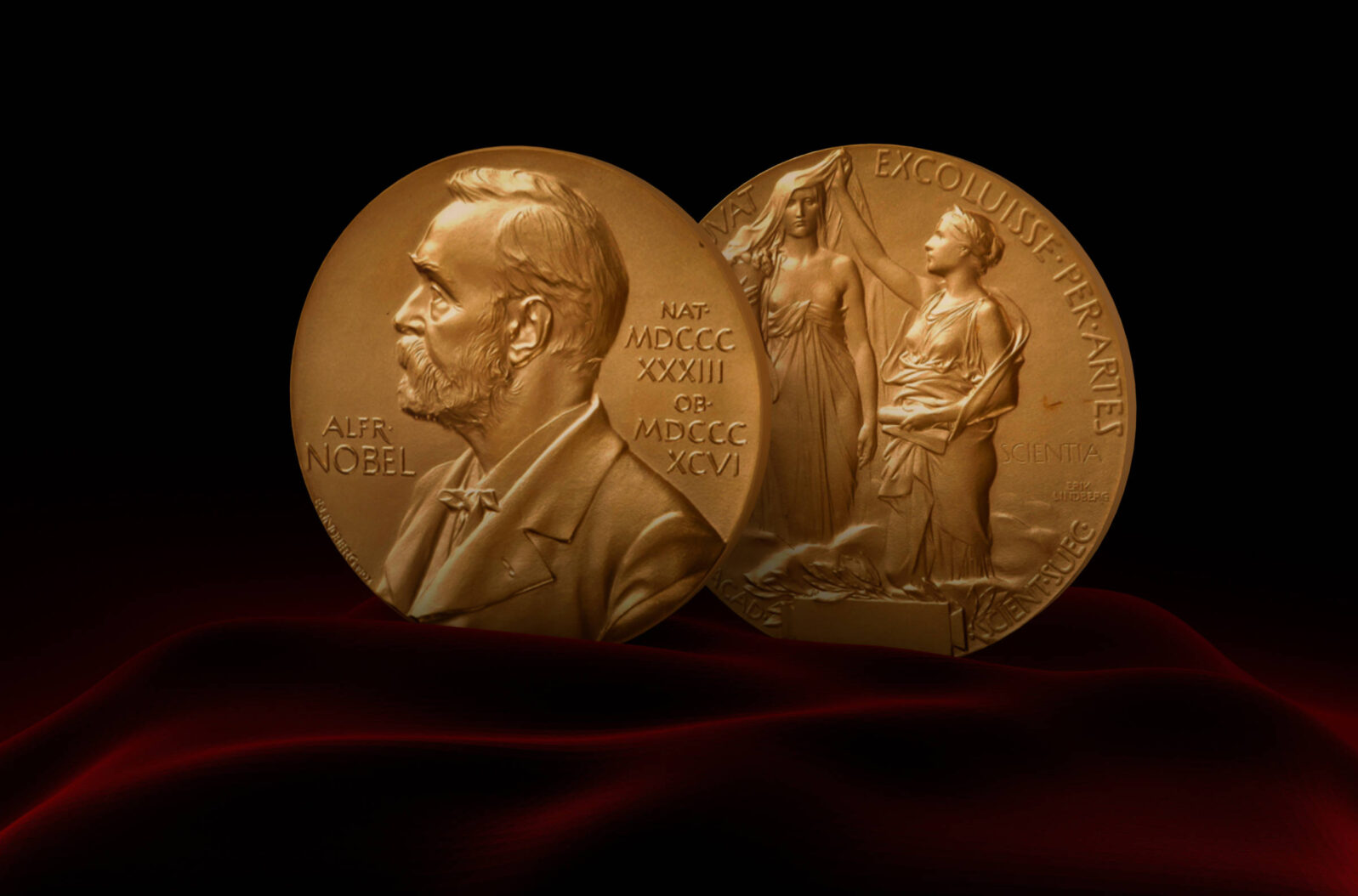 Alfred Nobel Prize