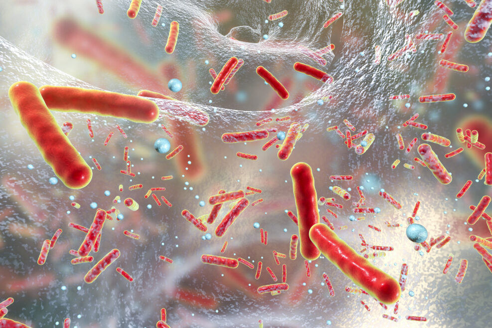 Antibiotic resistant bacteria inside a biofilm, 3D illustration. Biofilm is a community of bacteria where they aquire antibiotic resistance and communicate with each other by quorum sensing molecules