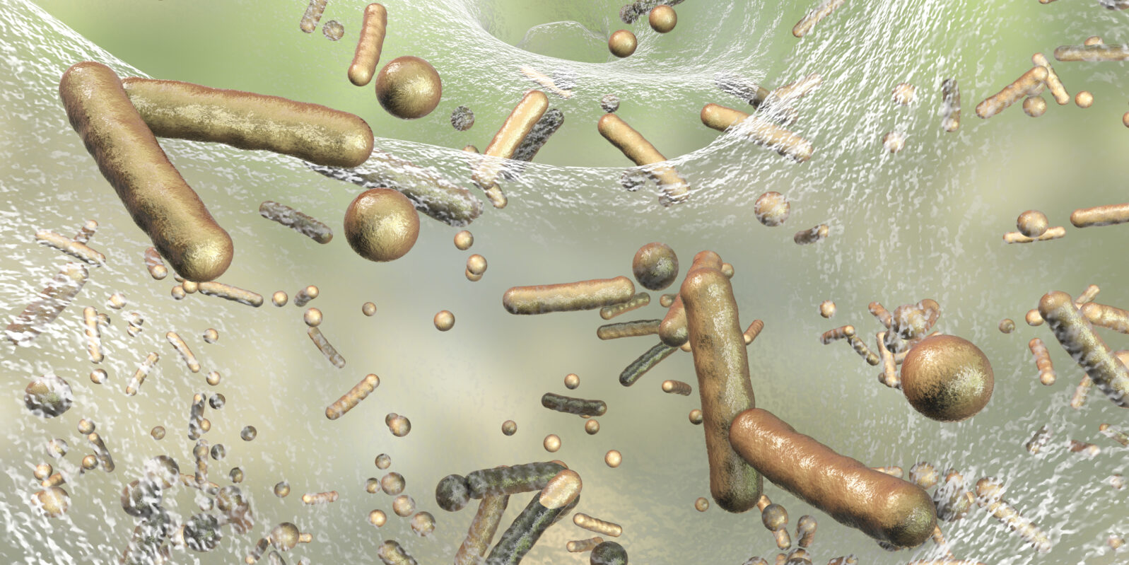 Antibiotic resistant bacteria inside a biofilm, 3D illustration. Realistic scientific background