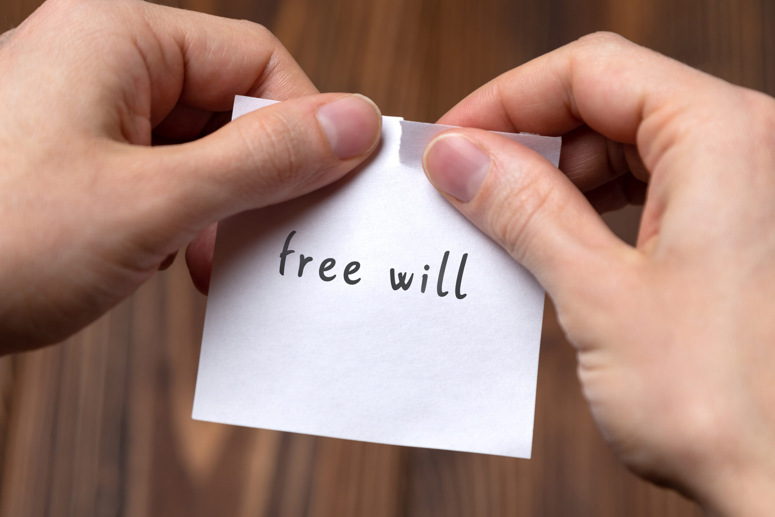 free-will-what-are-the-real-reasons-to-believe-in-it-mind-matters