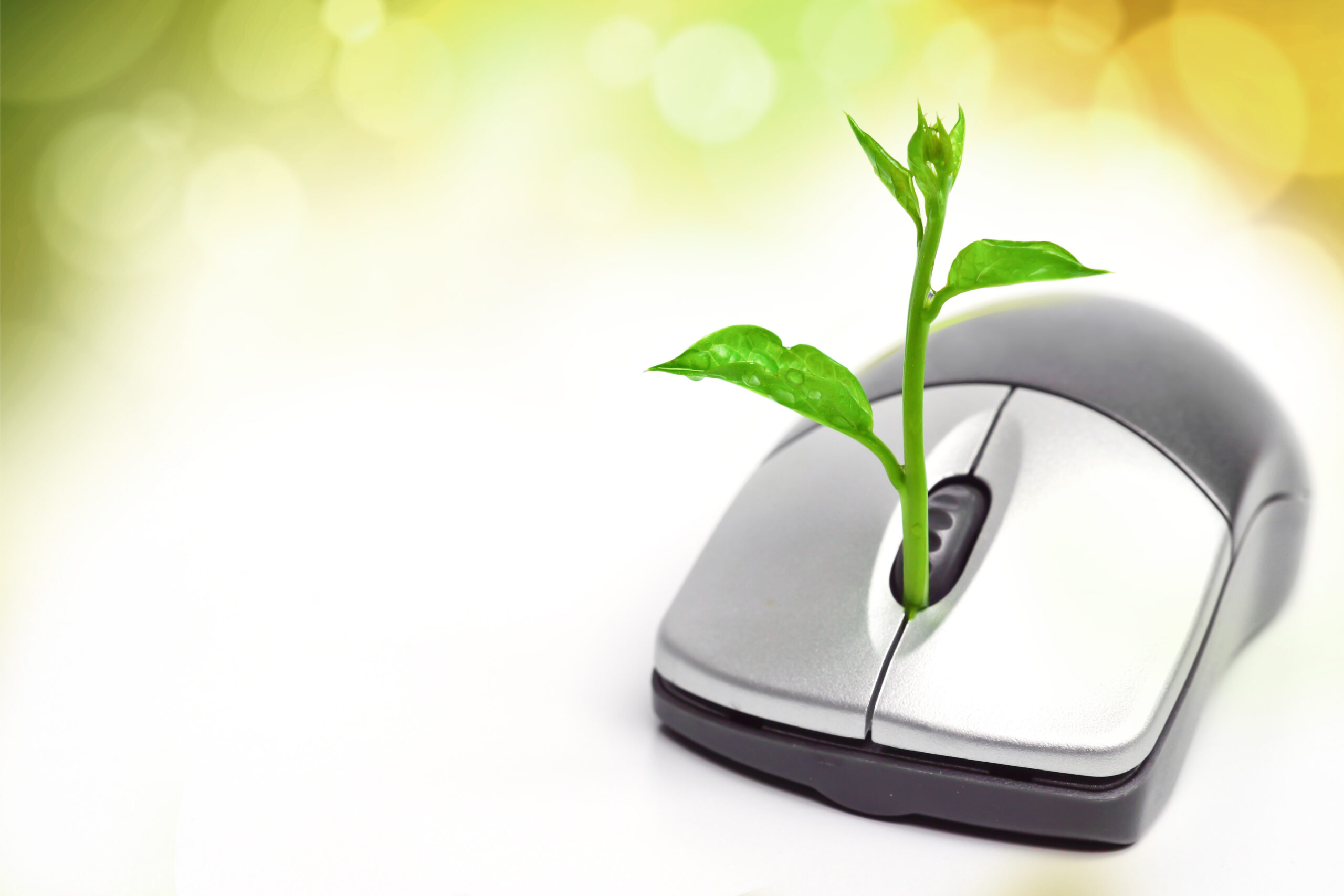 Could Carbon Computing Make Computers More Environment Friendly? | Mind ...