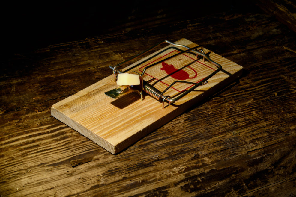 Mousetrap with a piece of cheese on a dark vintage background. The concept -