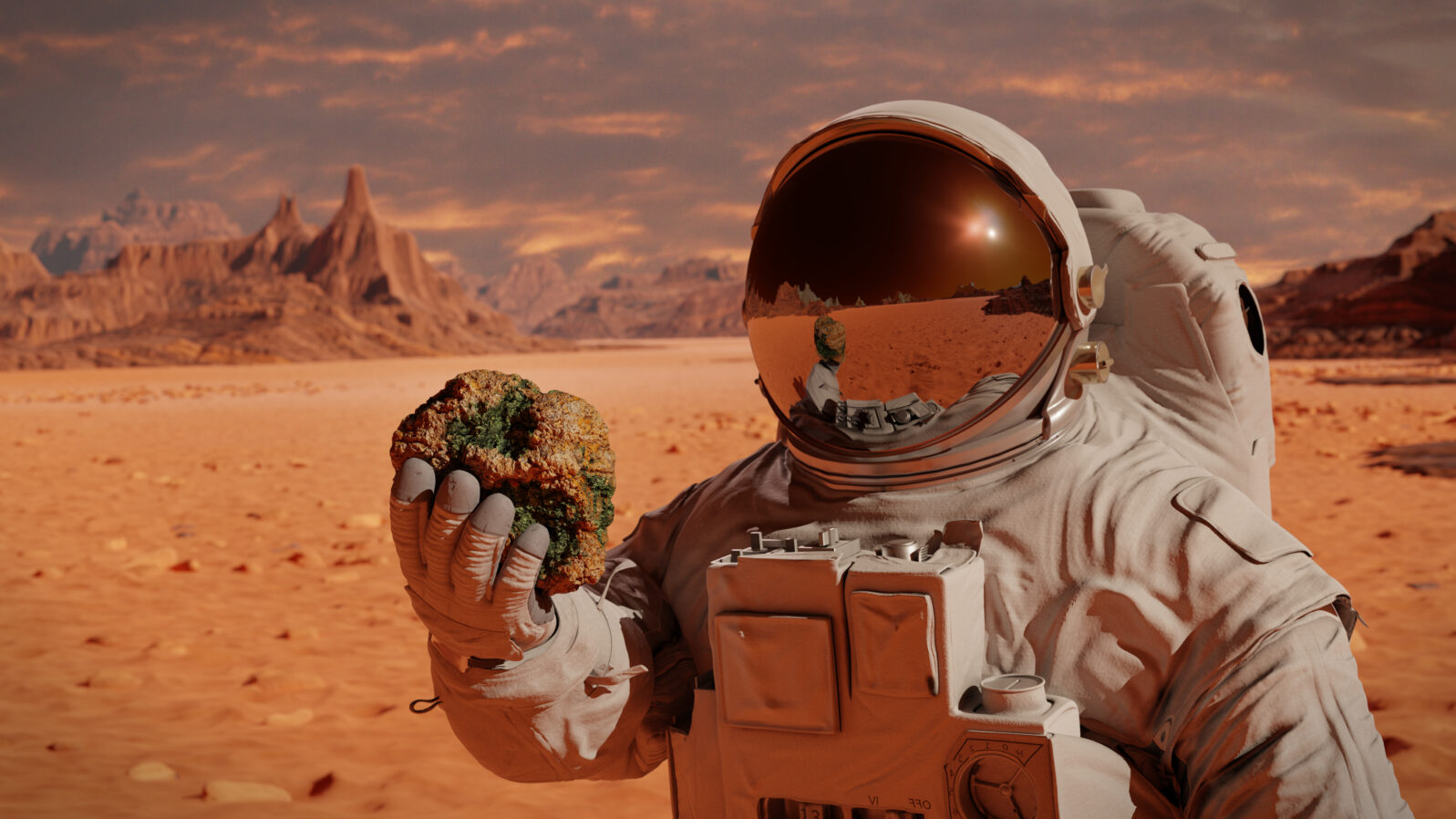 life on planet Mars, astronaut discovers bacterial life on the surface of a rock