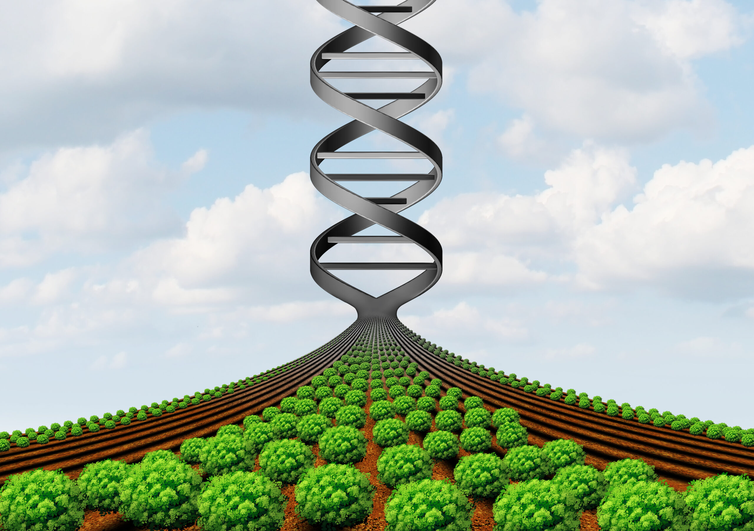 Is Gmo Farming The Future? Ap Human Geo Perspective - 74uytal