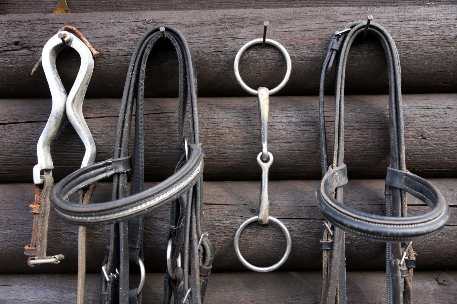 Details of diversity used horse reins