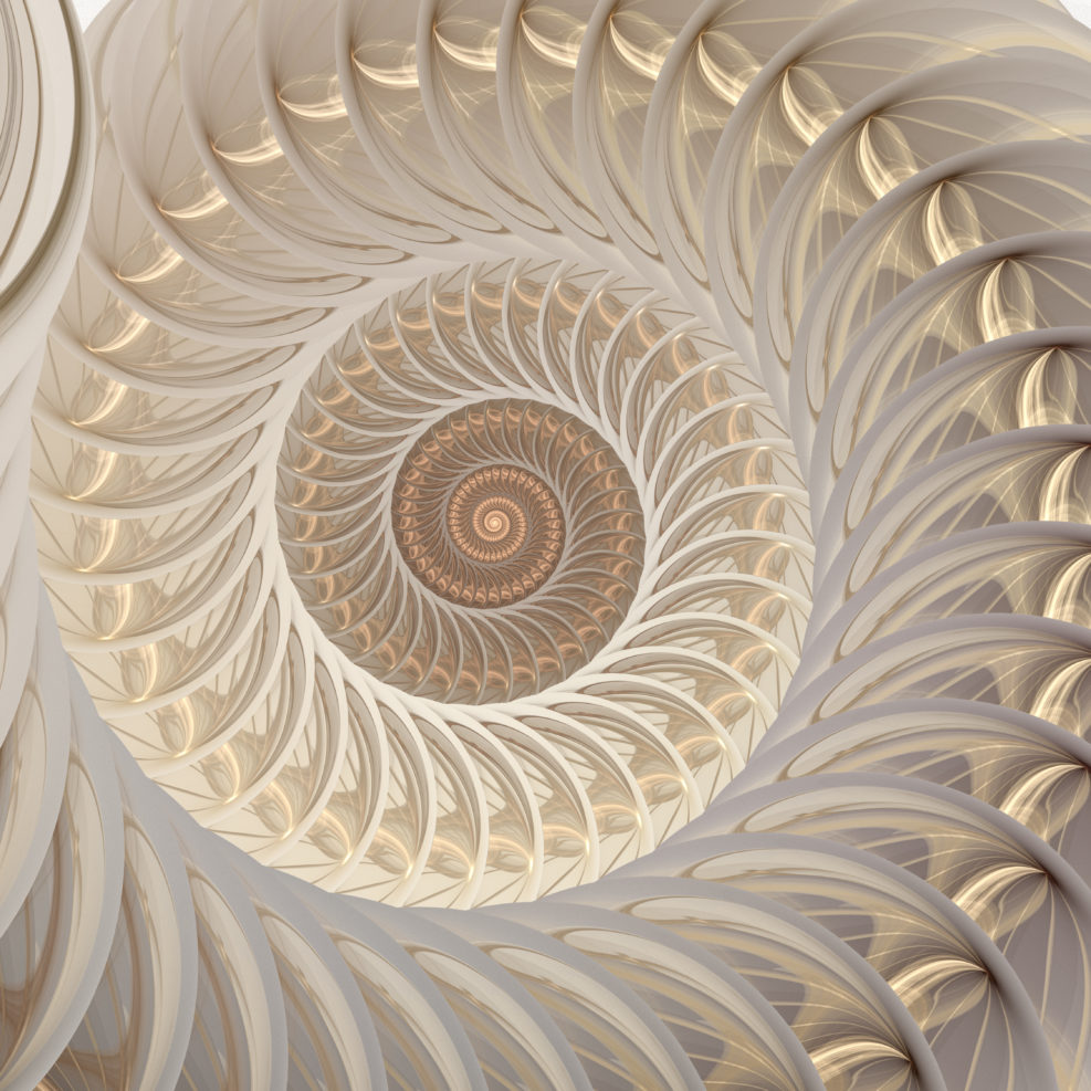 Abstract fractal spiral. Shell background