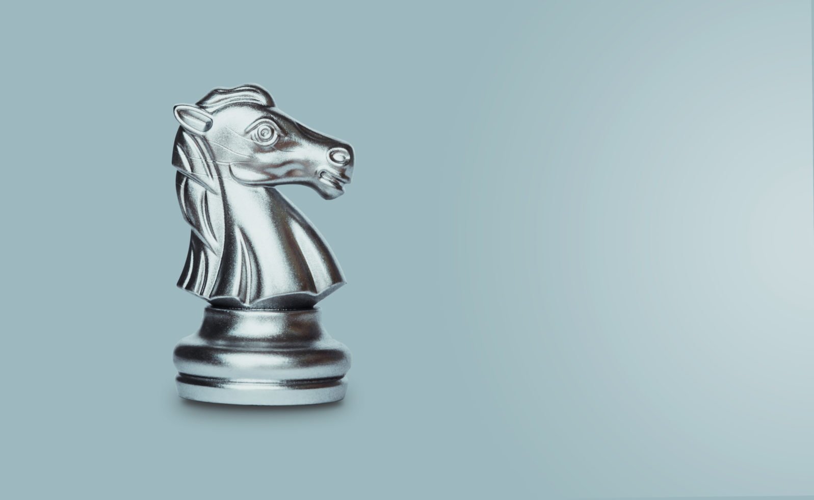 Knight chess isolated on gray background