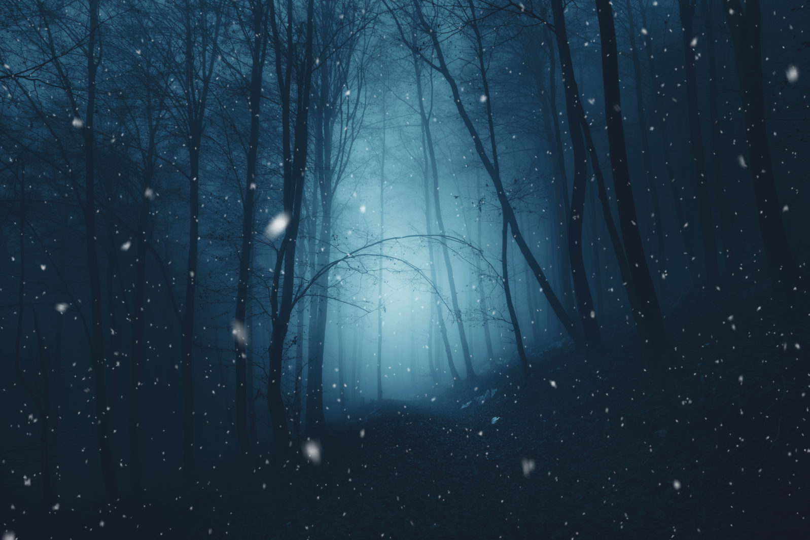 Mystical dark blue foggy forest with snowflakes.