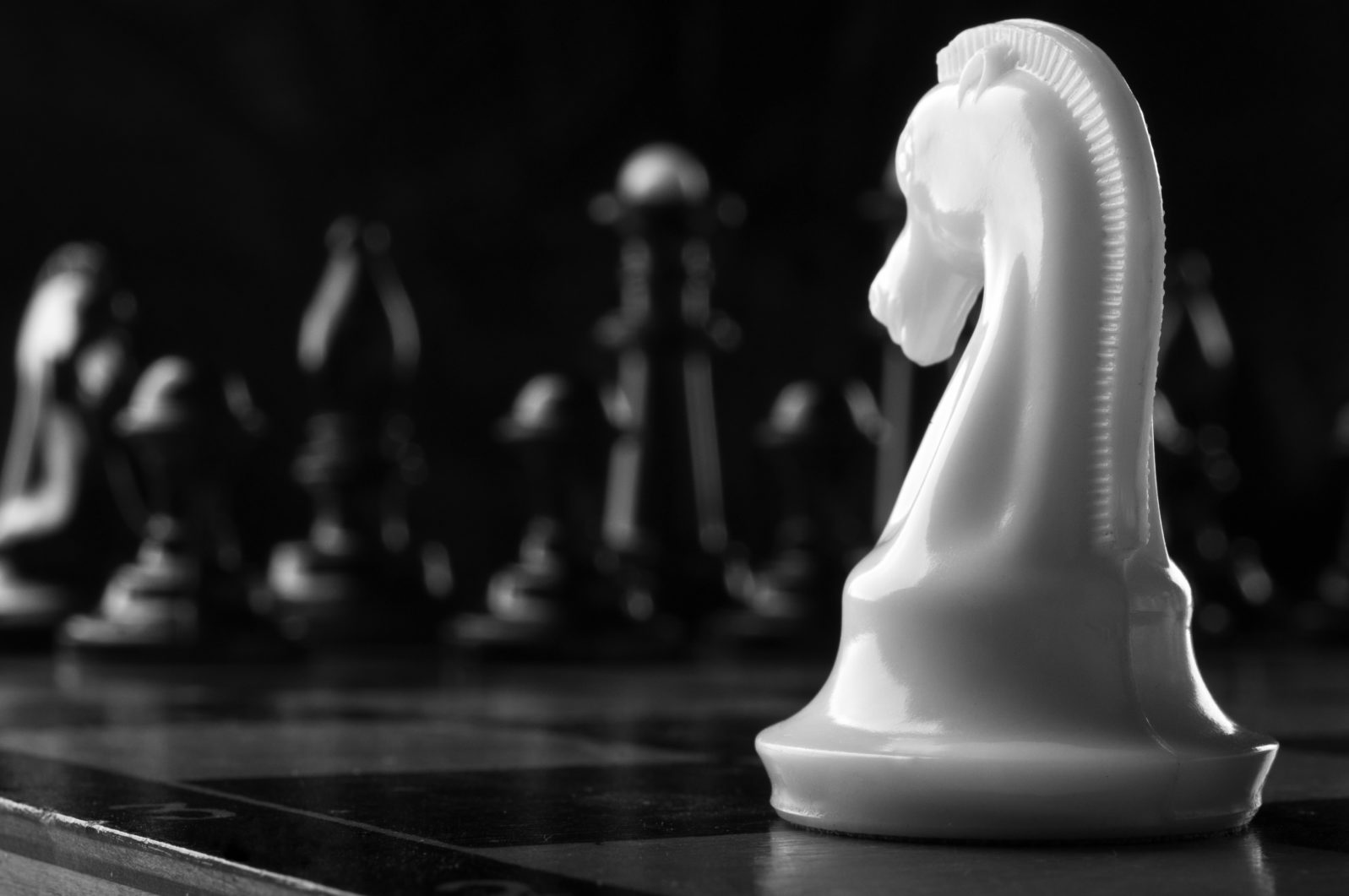 white knight chess piece