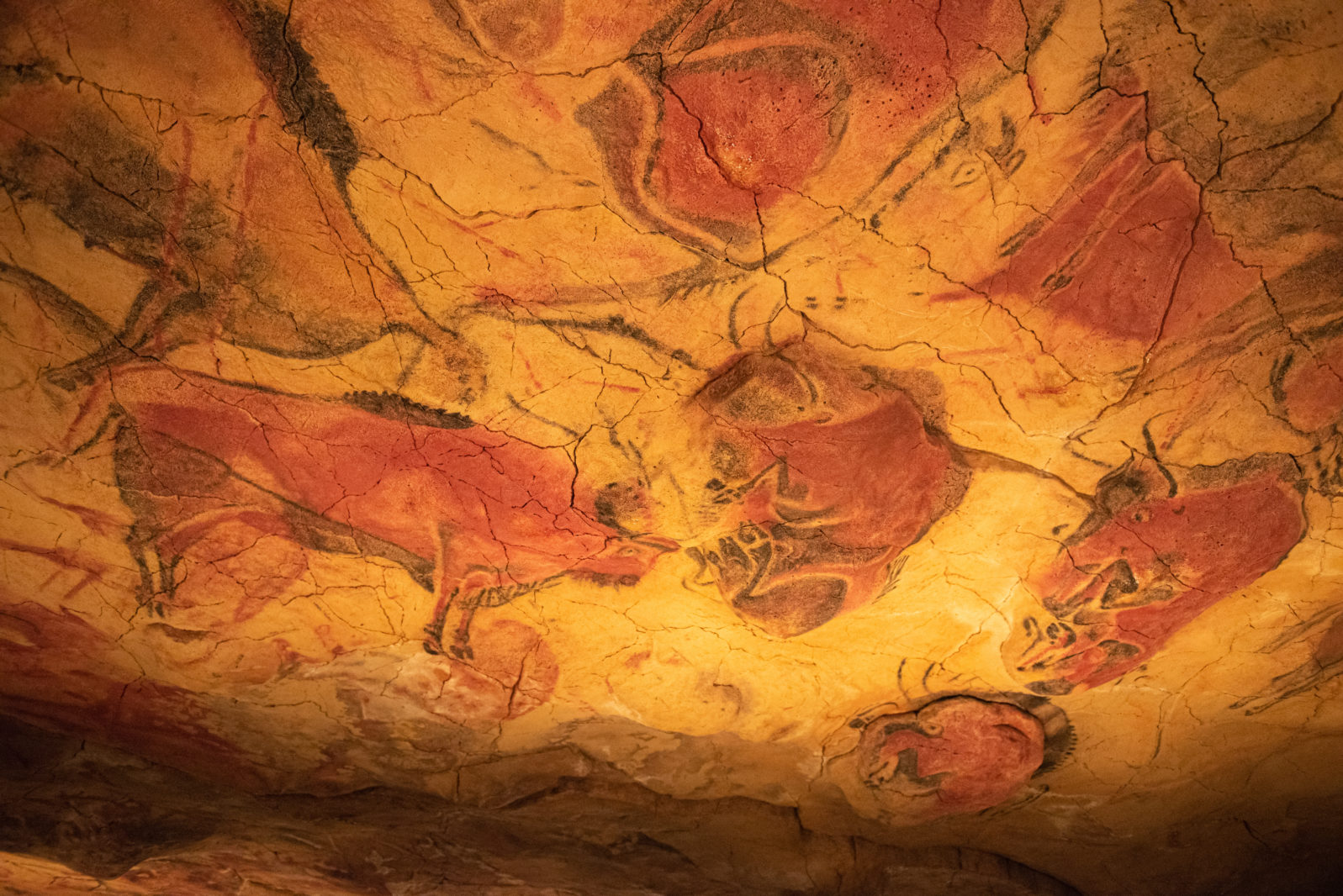 The Altamira Caves. Spanish rock art. It is the highest representation of cave painting in Spain