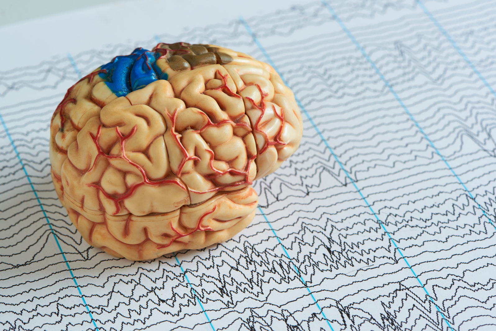 Brain model on EEG waves paper