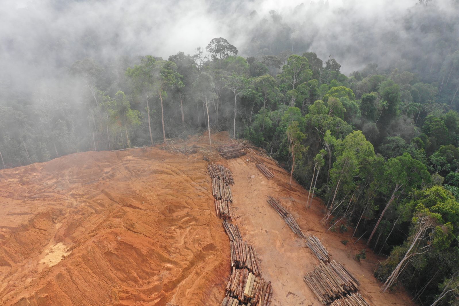Logging. Aerial drone view of deforestation environmental problem.
