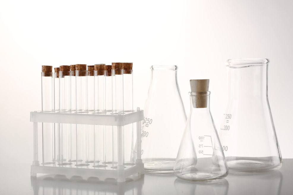 Empty laboratory test tubes isolated on white