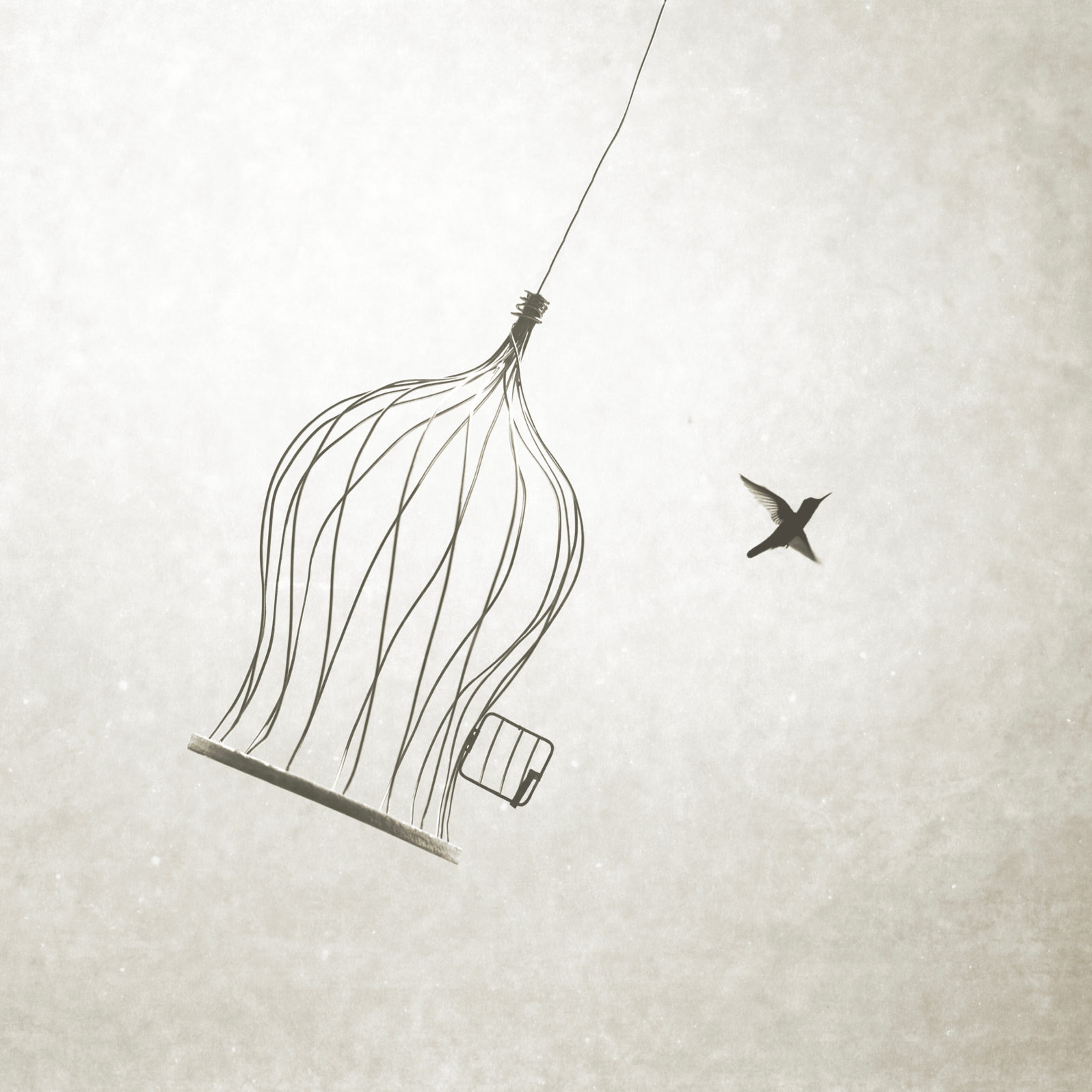 little bird flying out of bird cage, think outside the box