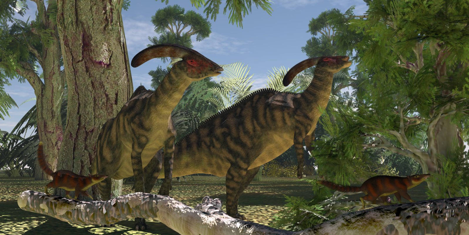 Parasaurolophus in the Forest - Two Parasaurolophus dinosaurs browse on foliage of the Montezuma Cypress tree as Cronopia mammals scrurry to safety.
