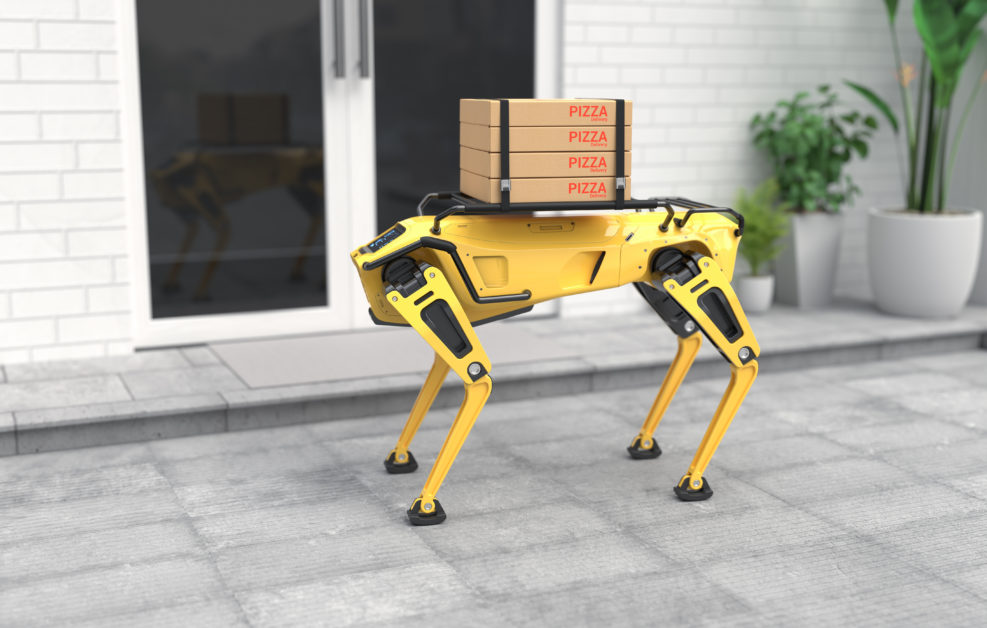 Robot dog delivering pizza. 3D illustration