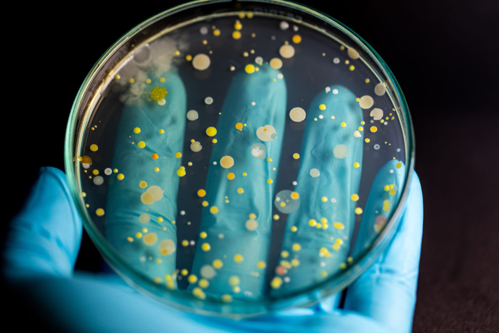 Backgrounds of Characteristics and Different shaped Colony of Bacteria and Mold growing on agar plates from Soil samples for education in Microbiology laboratory.