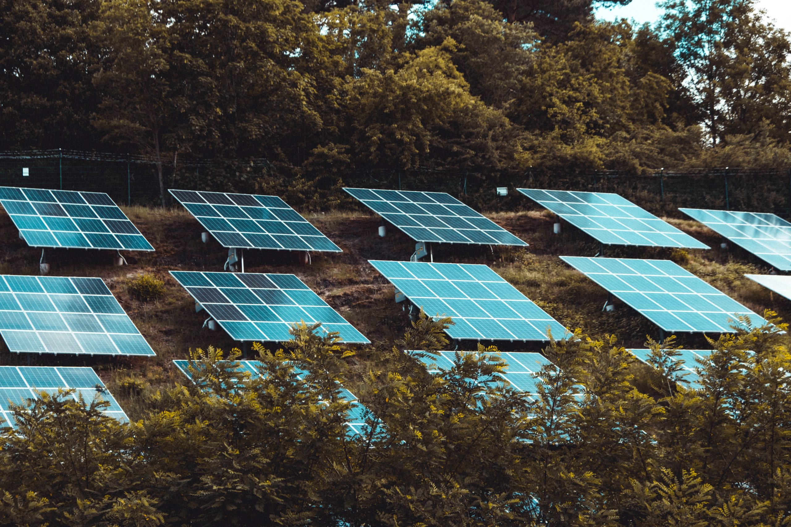 Appropriate Technology: Solar Powering Hospitals, Orphanages & Schools