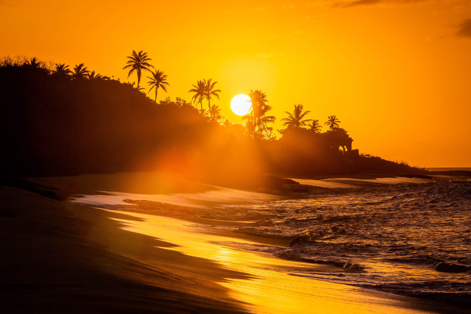 Tropical sunset at the beach with palms