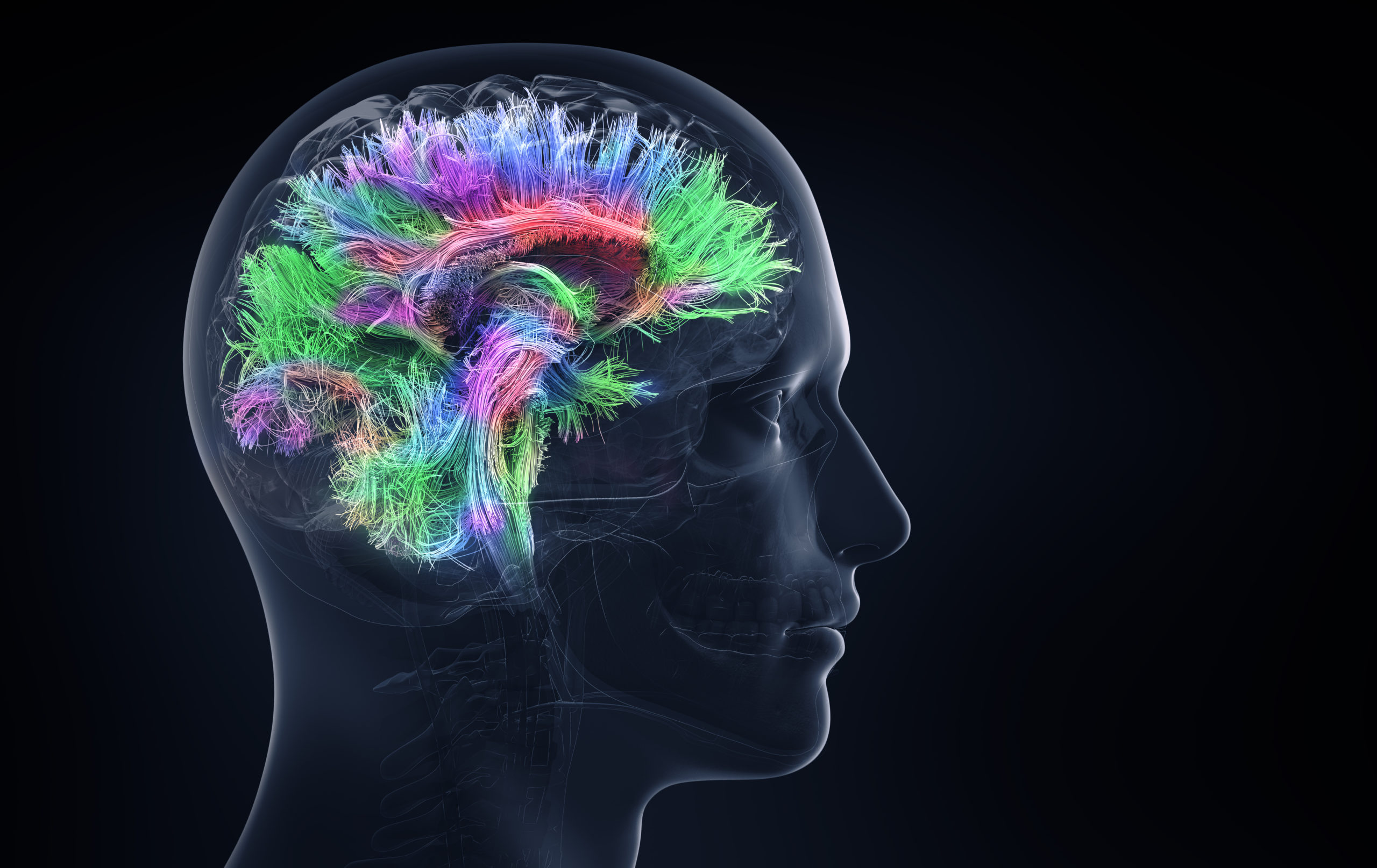 Ways the Brain Can Heal