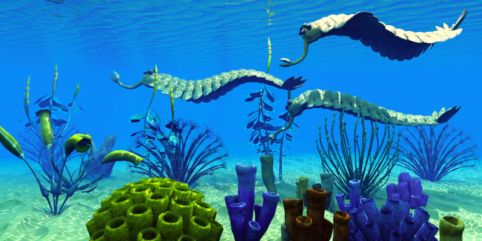 Opabinia in Cambrian Seas - Three Opabinia regalis animals hunt for prey on a reef of Cambrian Seas in the Paleozoic Era.
