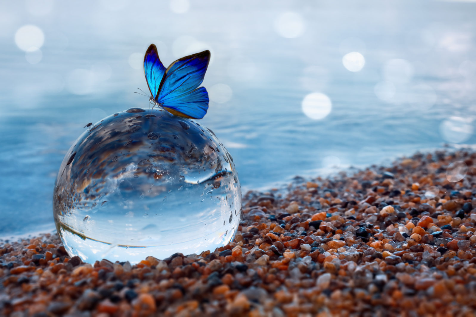 Butterfly on a glass ball on the beach refecting the lake and sky