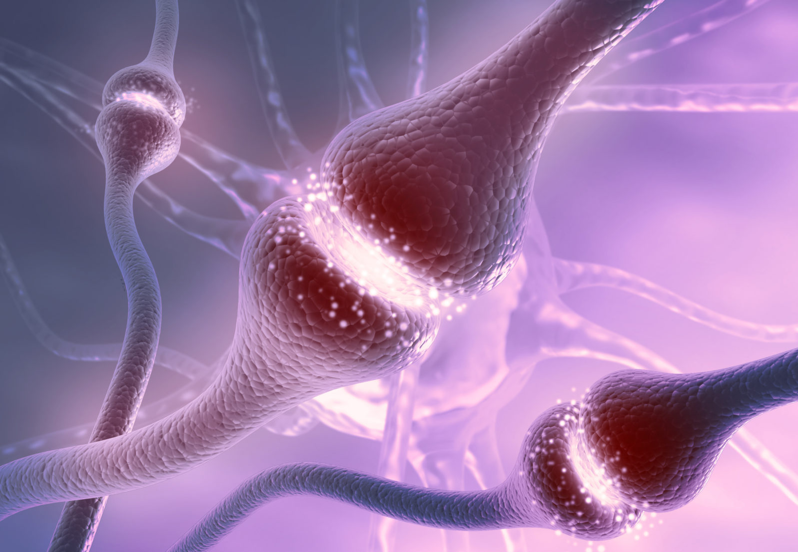 Neuron cells sending electrical chemical signals. 3d illustration .