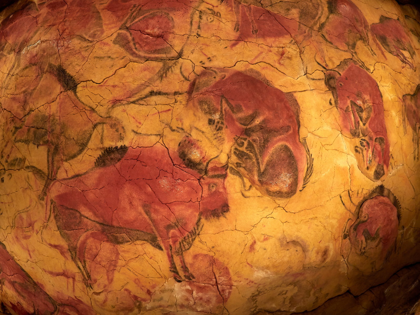 the drawings from the ceiling of Altamira cave in Santillana Del Mar, Cantabria, Spain