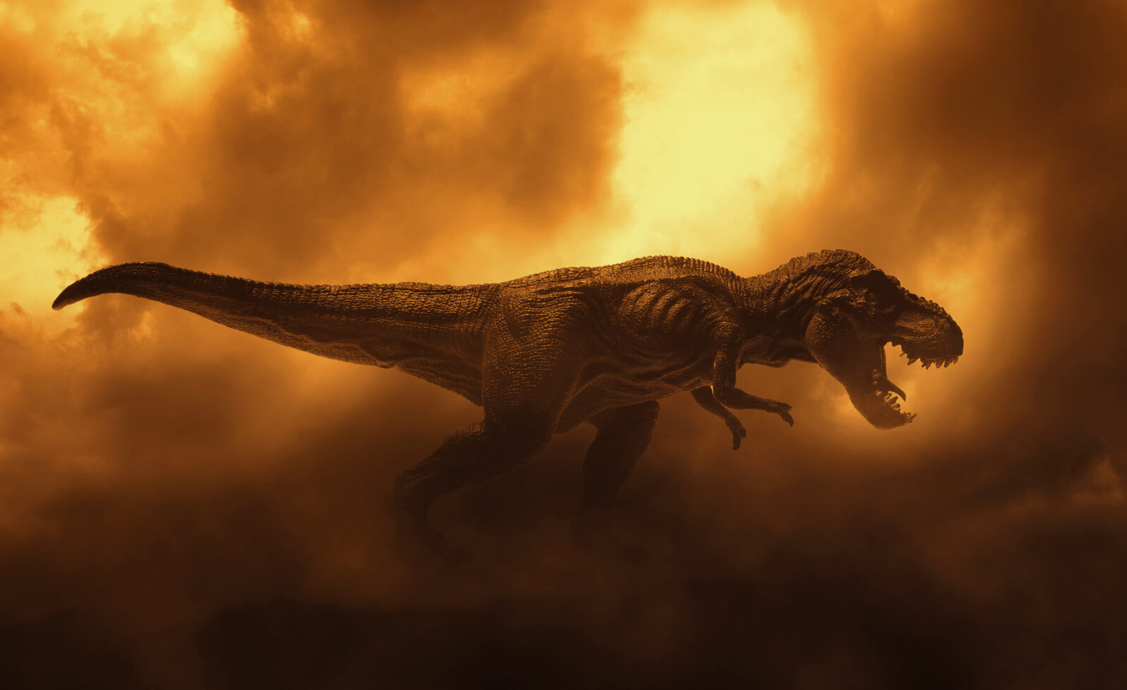 dinosaurs t rex on fire