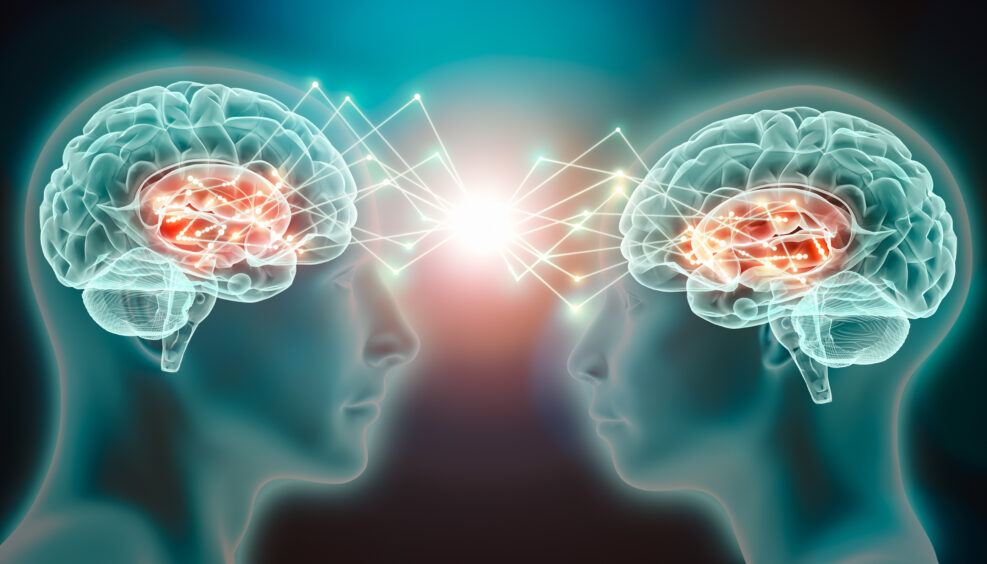 Love emotion or empathy cerebral or brain activity in caudate nucleus. Interaction and connection between two people. Conceptual 3d illustration of interactive neurological stimulation or telepathy.