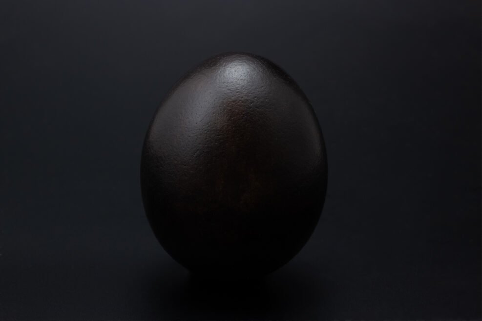 Black egg on a black background. The concept of coloring eggs for Easter. Standing alone egg