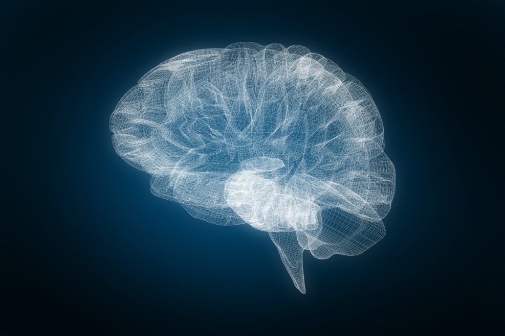 Composite image of 3d image of human brain