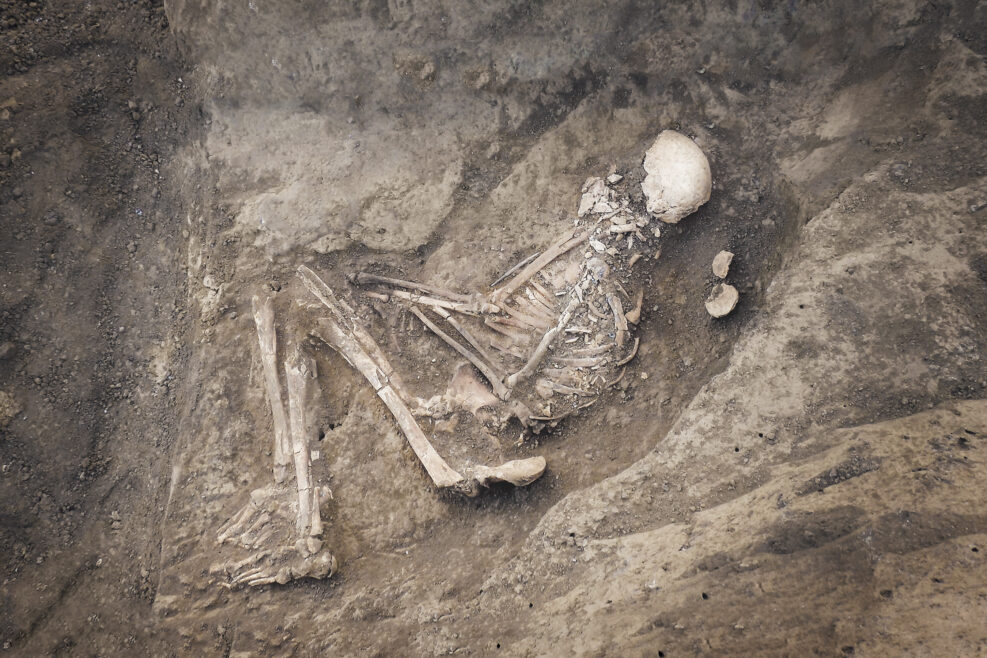 Archaeological excavations and finds (bones of a skeleton in a human burial),   a detail of ancient research, prehistory.
