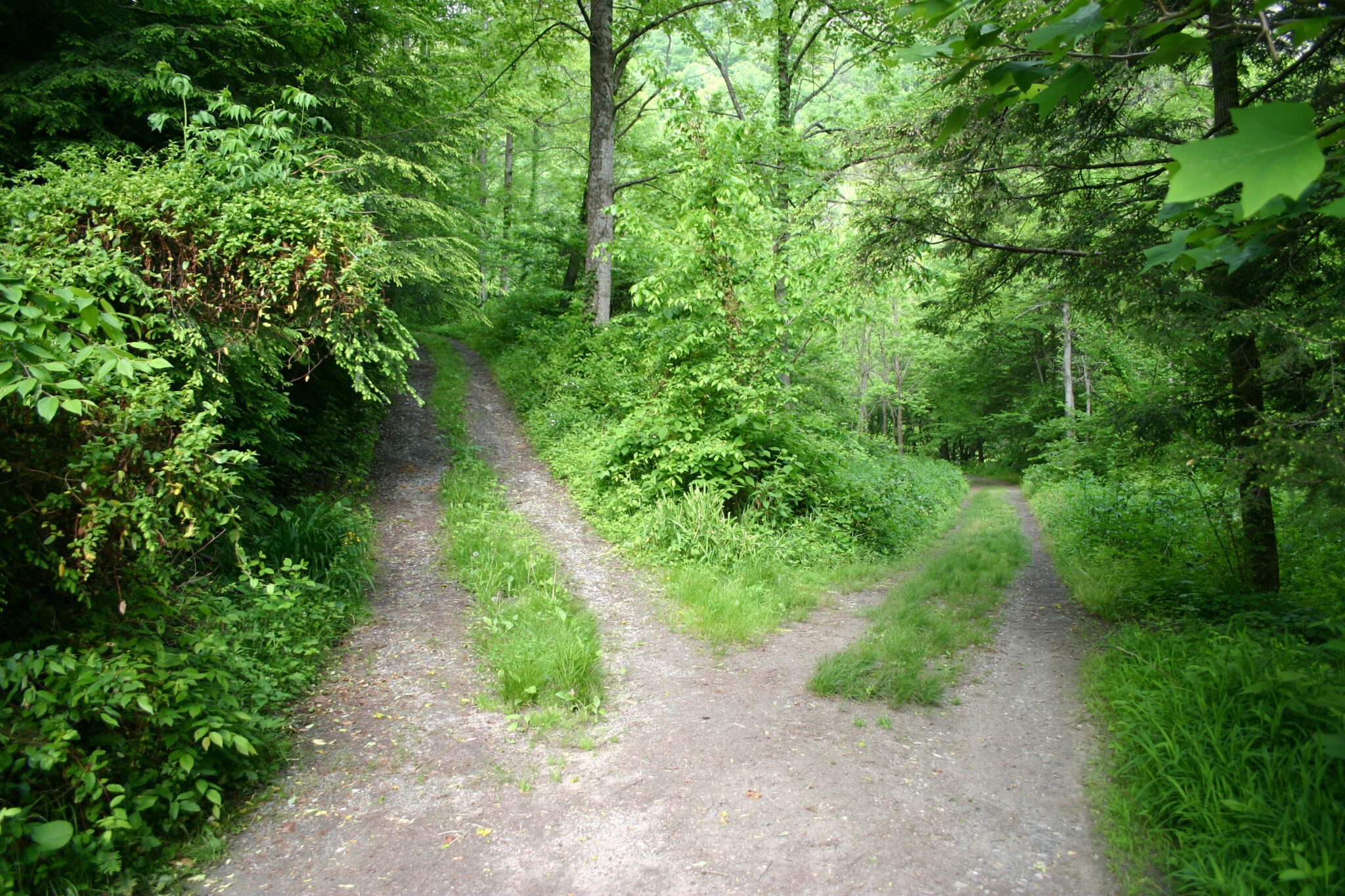 Choosing the High Road or Low Road