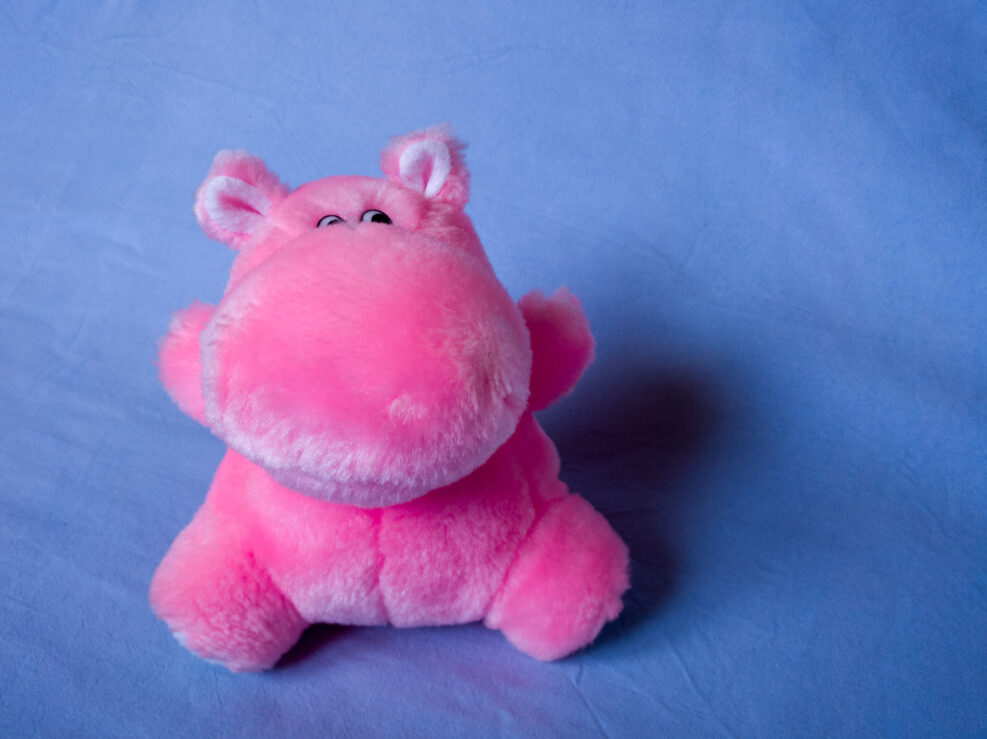Isolated children's toy against a blue texture background, teddy bear from childhood, an old pink hippo