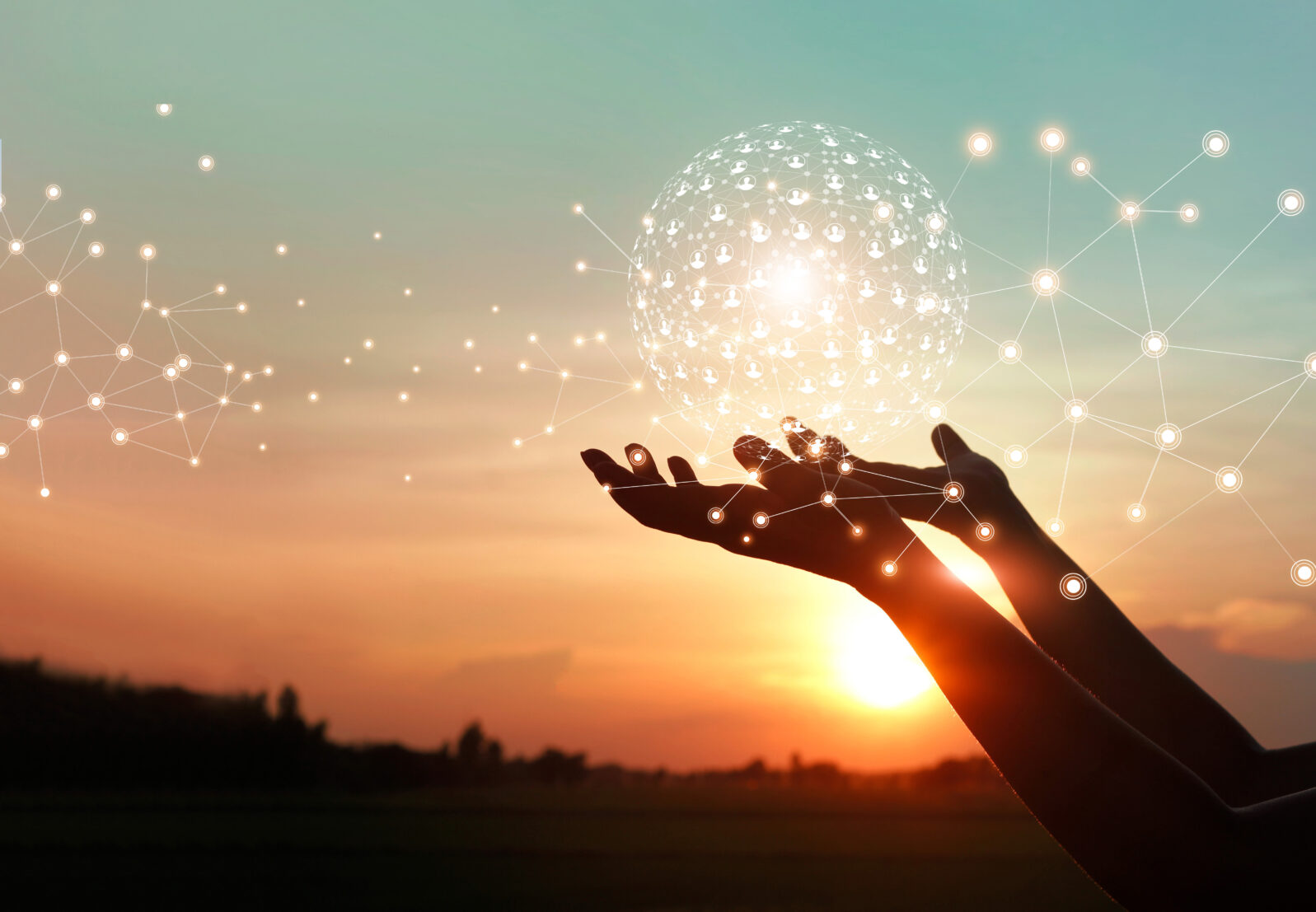 Man hands holding global network and data customer connection on nature background.