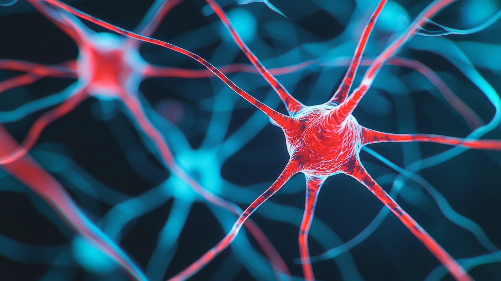 A vibrant close-up of neurons showcasing their intricate structures and connections, highlighting the complexity of the nervous system.