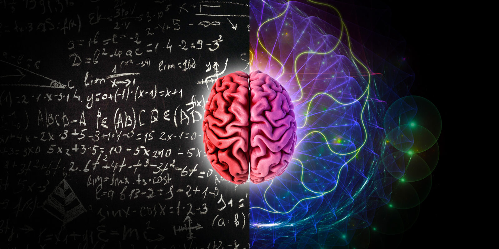 The concept of the human brain. The right creative hemisphere versus the left logical hemisphere. Education, science and medical concept, illustration.