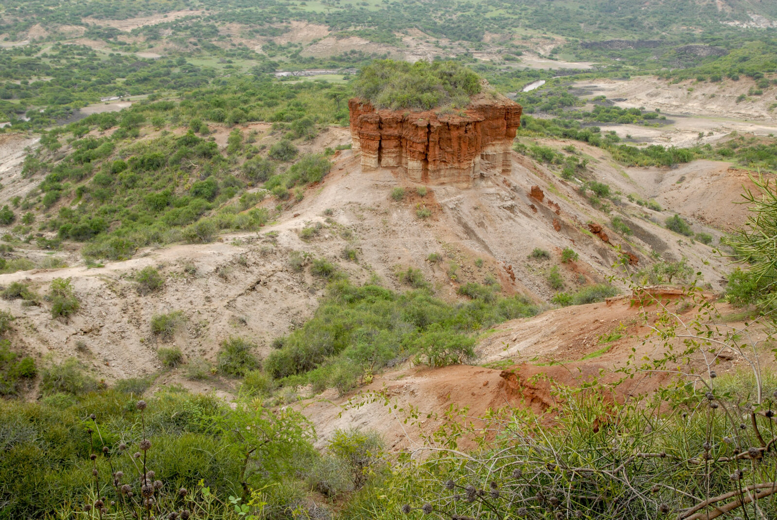 View on Olduvai gorge in Tanzania