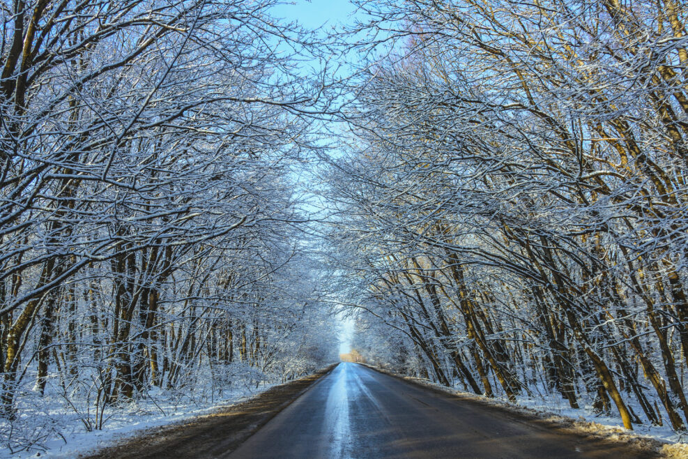 Road among the trees. Corresponds to the seasons of the year: autumn, winter, spring. Day, tree branches close the road, forming a tunnel. Water, ice, and frost form a dangerous slippery slope.