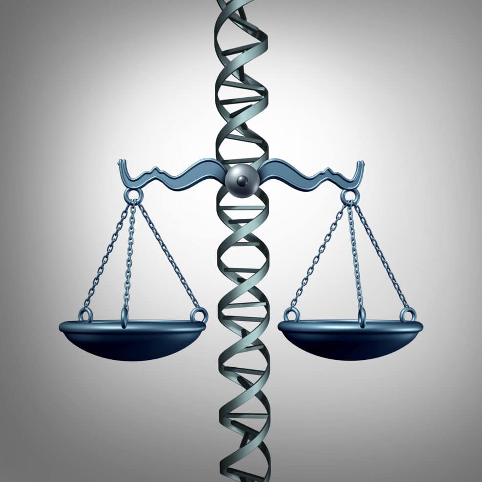 Bioethics And The Law