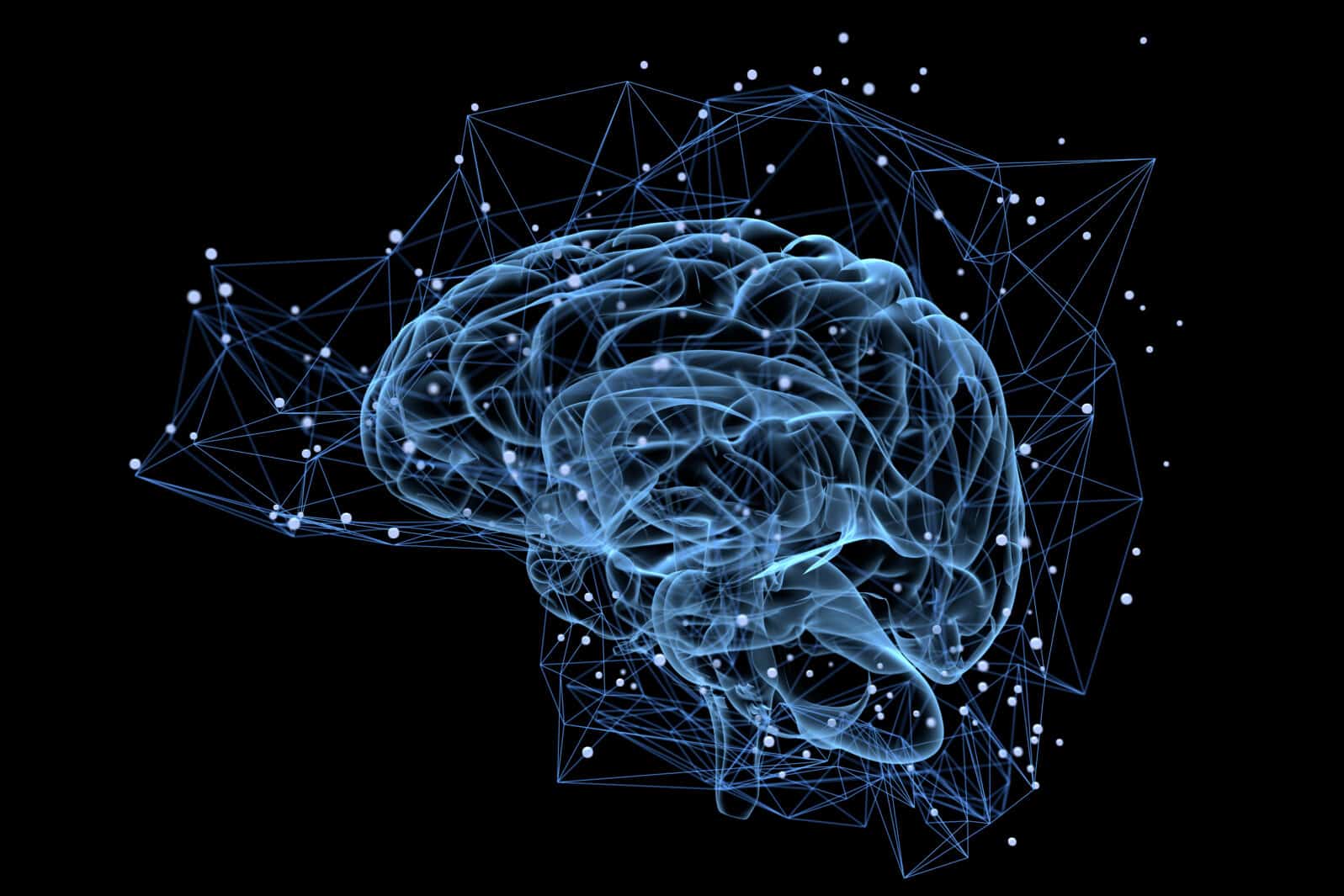 Brain activity