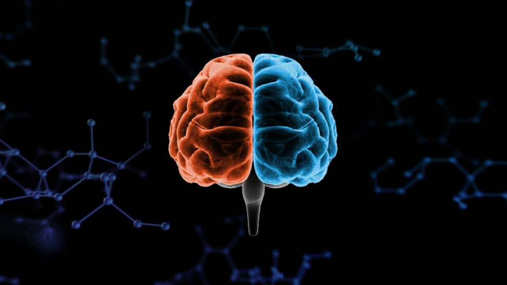 Brain head human mental idea mind 3D illustration background
