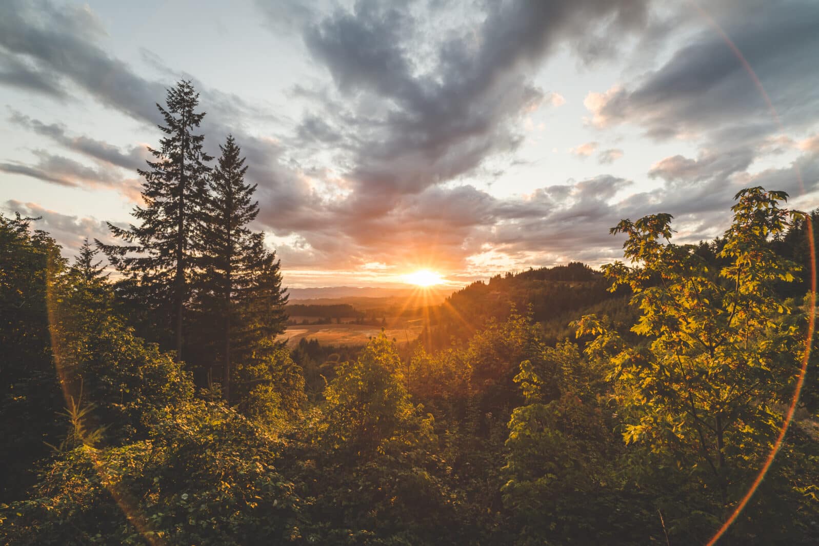 Landscape and Sky at Sunset