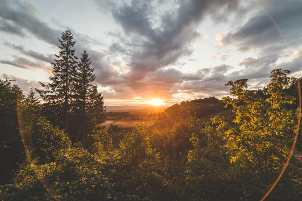 Landscape and Sky at Sunset