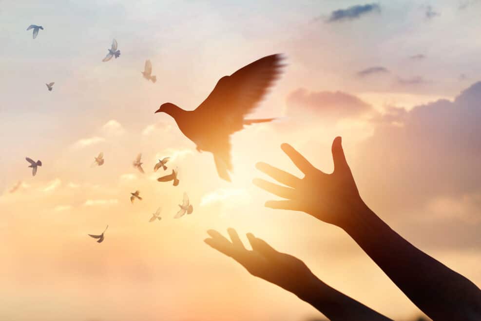 Woman praying and free the birds flying on sunset background, hope concept