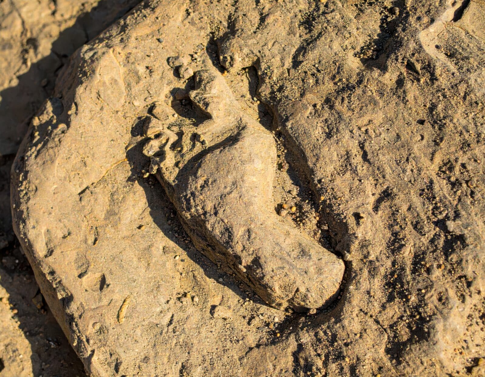 Ancient human footprint fossilized in natural sandstone rock