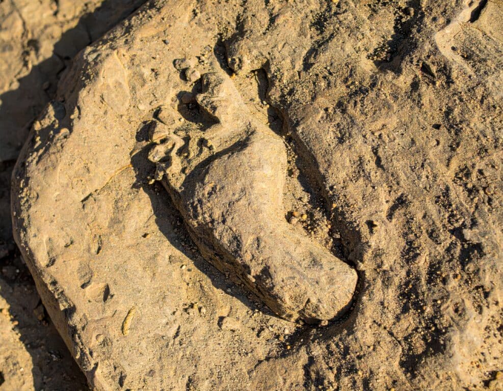Ancient human footprint fossilized in natural sandstone rock